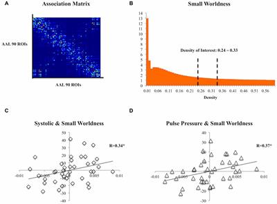 The Integrity of the Corpus Callosum Mitigates the Impact of Blood Pressure on the Ventral Attention Network and Information Processing Speed in Healthy Adults